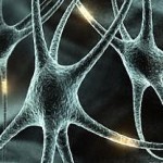 182500835-52b19c5a-8531-4515-94ea-24c2e87c7982