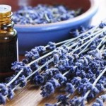 olio-di-lavanda