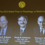 114327272-c24a20c9-4480-45c7-a444-a7e3f2aa3524