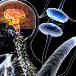 3d4medical_rm_photo_of_parkinsons_disease_composite