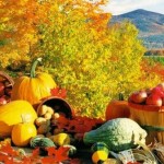 dieta-autunno-cibi-sani