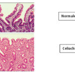 img_diagnosi