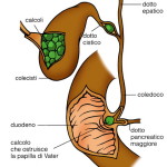 p302