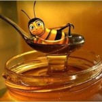 vendo-al-por-mayor-miel-pura-de-abeja1351142501