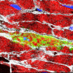 131128103957-large