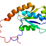 250px-Protein_NCOA5_PDB_1v95