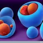 B0006875 Microparticle drug delivery