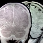 TYP-474848-10572480_Marem