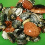 normal_i frutti di mare
