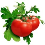 pomodori-e-Jenbacher_1