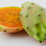 prickly-pear-cactus