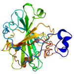 Carbonic_anhydrase_1CA2-300x300