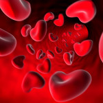 heart shaped blood cells