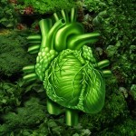 folate-small