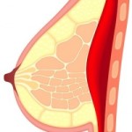 healthy-breast-small-e1385572217941