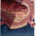 images (16)