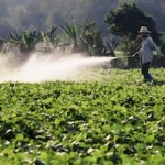 pesticide-small