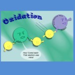 _090503043852_radicali_liberi_2