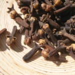 SAMSUNG DIGITAL CAMERA