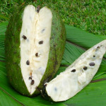 graviola