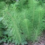 images (21)