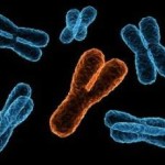 y_chromosome.jpg_415368877