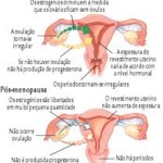 images (54)