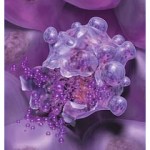 tumori_proteina_eliminare_cellule