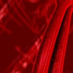 veins-and-arteries