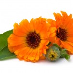 2013_06_02_grabb_14358_0_rsz