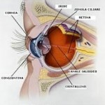 images4