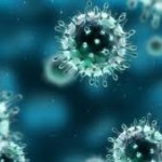 download (2)