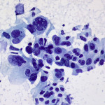 5715460701_81518af4d8