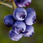 images (34)