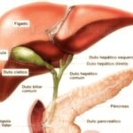 cancro-al-fegato-tumore