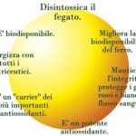 glutatione2