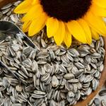 sunflower-seeds