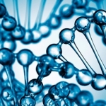 FD9D432E-38D3-463A-825015AADC6C1B61_newsteaser