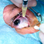 CC60F481-0A00-95A0-4595B8B9D8CA1F4F