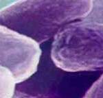 socialmedia-biotechback