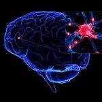 5985_nuovobrain_chimici_L
