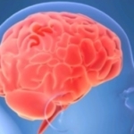 malattie-neurodegenerative