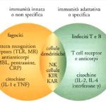 Immunologia_Fig.1