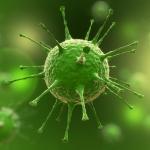 close-up-of-flu-virus