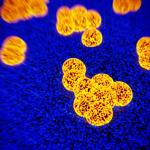 mrsa