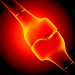 articolazione_1_63511