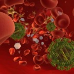 hiv-virus-in-the-bloodstream