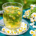 chamomile-tea-1opt