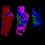 150710095246_1_540x360