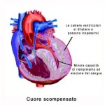 cuore_scompensato